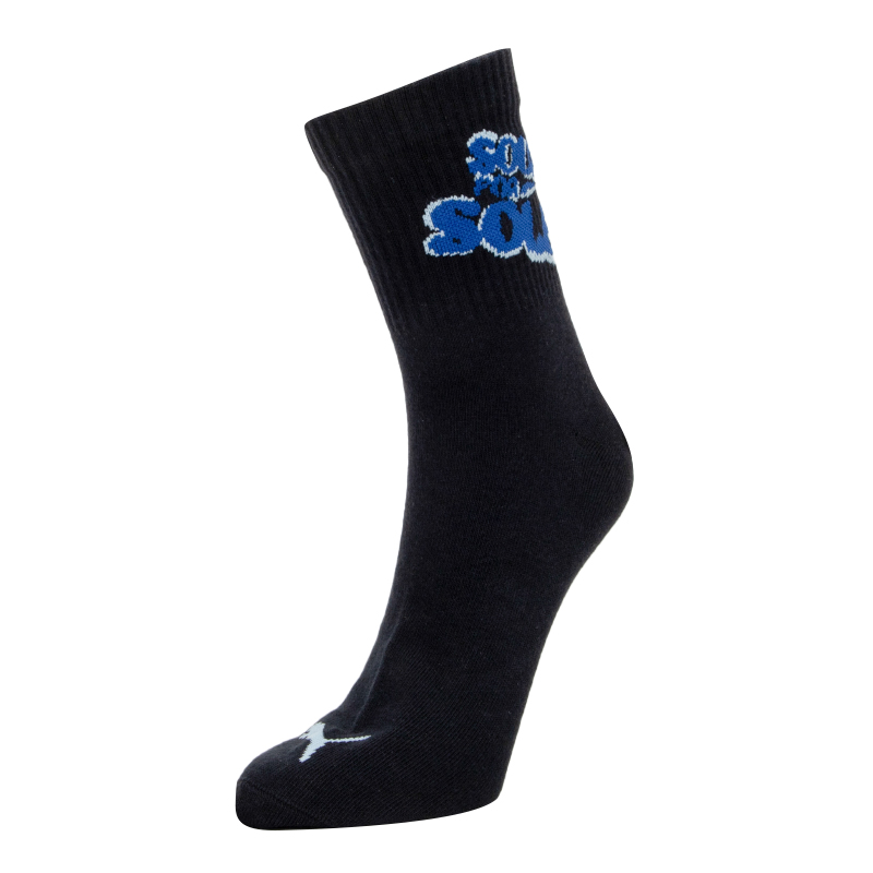 彪马PUMA UNISEX LONG QUARTER 2P APAC中短袜938492-02